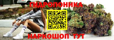 гидропоника Кимры